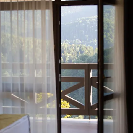 ведмежа гора Panorama ホテル