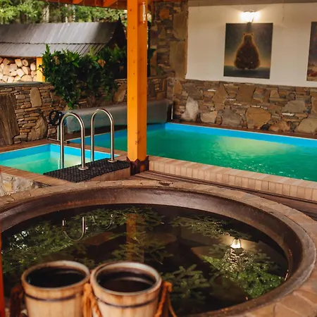 ведмежа гора Panorama Hotel *